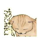 オリジナルイラスト猫 日常会話 あいさつ（個別スタンプ：19）