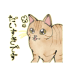 オリジナルイラスト猫 日常会話 あいさつ（個別スタンプ：20）