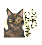 オリジナルイラスト猫 日常会話 あいさつ（個別スタンプ：21）