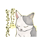 オリジナルイラスト猫 日常会話 あいさつ（個別スタンプ：23）