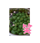 思い出の場面（個別スタンプ：8）