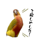 ウロコインコのりんごちゃん（個別スタンプ：2）