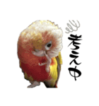 ウロコインコのりんごちゃん（個別スタンプ：4）
