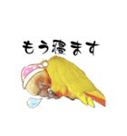 ウロコインコのりんごちゃん（個別スタンプ：5）