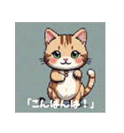 キャラねこあいさつ（個別スタンプ：14）