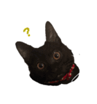 ピノ吉とお姉様（個別スタンプ：1）