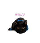 ピノ吉とお姉様（個別スタンプ：3）