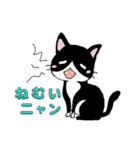 猫にゃん ハチワレ君の日常！（個別スタンプ：13）