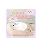 絵心ない落書きスタンプ(モルモット)（個別スタンプ：16）