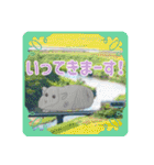 絵心ない落書きスタンプ(モルモット)（個別スタンプ：17）