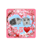 絵心ない落書きスタンプ(モルモット)（個別スタンプ：19）