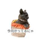 ふくめ まる（個別スタンプ：2）