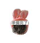 ふくめ まる（個別スタンプ：3）