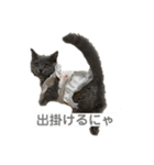 ふくめ まる（個別スタンプ：6）
