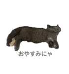 ふくめ まる（個別スタンプ：7）