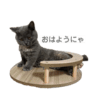 ふくめ まる（個別スタンプ：9）