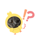 ふくめ まる（個別スタンプ：23）