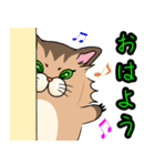 アライグマちゃうで。（個別スタンプ：1）