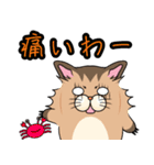 アライグマちゃうで。（個別スタンプ：19）