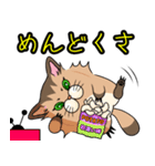 アライグマちゃうで。（個別スタンプ：20）