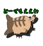 アライグマちゃうで。（個別スタンプ：21）