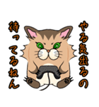 アライグマちゃうで。（個別スタンプ：23）