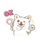 My Dog Stickers-chihuahua ＆dachshund-（個別スタンプ：5）