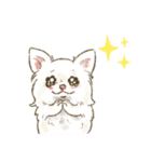 My Dog Stickers-chihuahua ＆dachshund-（個別スタンプ：13）