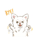 My Dog Stickers-chihuahua ＆dachshund-（個別スタンプ：15）