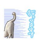 姉妹ねこのしじみとほたて（個別スタンプ：30）