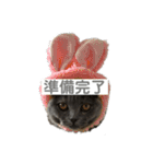 ふくめまる（個別スタンプ：5）