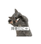 ふくめまる（個別スタンプ：7）