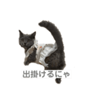 ふくめまる（個別スタンプ：8）
