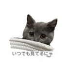 ふくめまる（個別スタンプ：9）