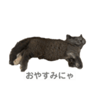 ふくめまる（個別スタンプ：11）