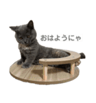 ふくめまる（個別スタンプ：13）