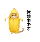 バナナ猫【よく使う言葉】（個別スタンプ：28）
