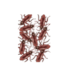 ドッキリ！ 飛び出すキモい虫（個別スタンプ：2）