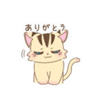 とらやのとらきち（個別スタンプ：3）