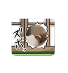 みょんのいぬ（個別スタンプ：3）