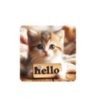 KittenGreetings（個別スタンプ：11）