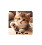 KittenGreetings（個別スタンプ：12）