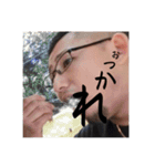 ほぼ、たつや（個別スタンプ：11）