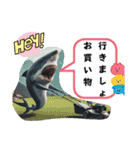 さめ。サメ。鮫。鮫人間〜Part10（個別スタンプ：23）