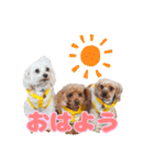 めいぽんまる3（個別スタンプ：1）