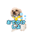 めいぽんまる3（個別スタンプ：7）
