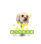 めいぽんまる3（個別スタンプ：9）