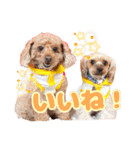 めいぽんまる3（個別スタンプ：13）