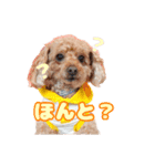 めいぽんまる3（個別スタンプ：18）
