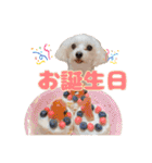 めいぽんまる3（個別スタンプ：29）